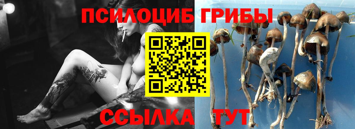 Галлюциногенные грибы мицелий Калач-на-Дону